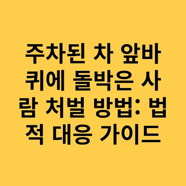 주차된 차 앞바퀴에 돌박은 사람 처벌 방법 법적 대응 가이드