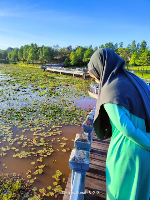 Fish Feeding Pond and Park @ Eco Botanic, Gelang Patah, Johor