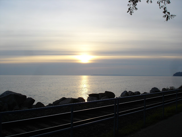 夕陽餘暉映照在海面上