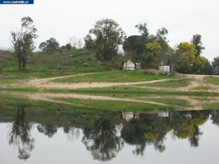 Albufeira, Barragem de Póvoa e Meadas de Castelo de Vide, Portugal (Fish)