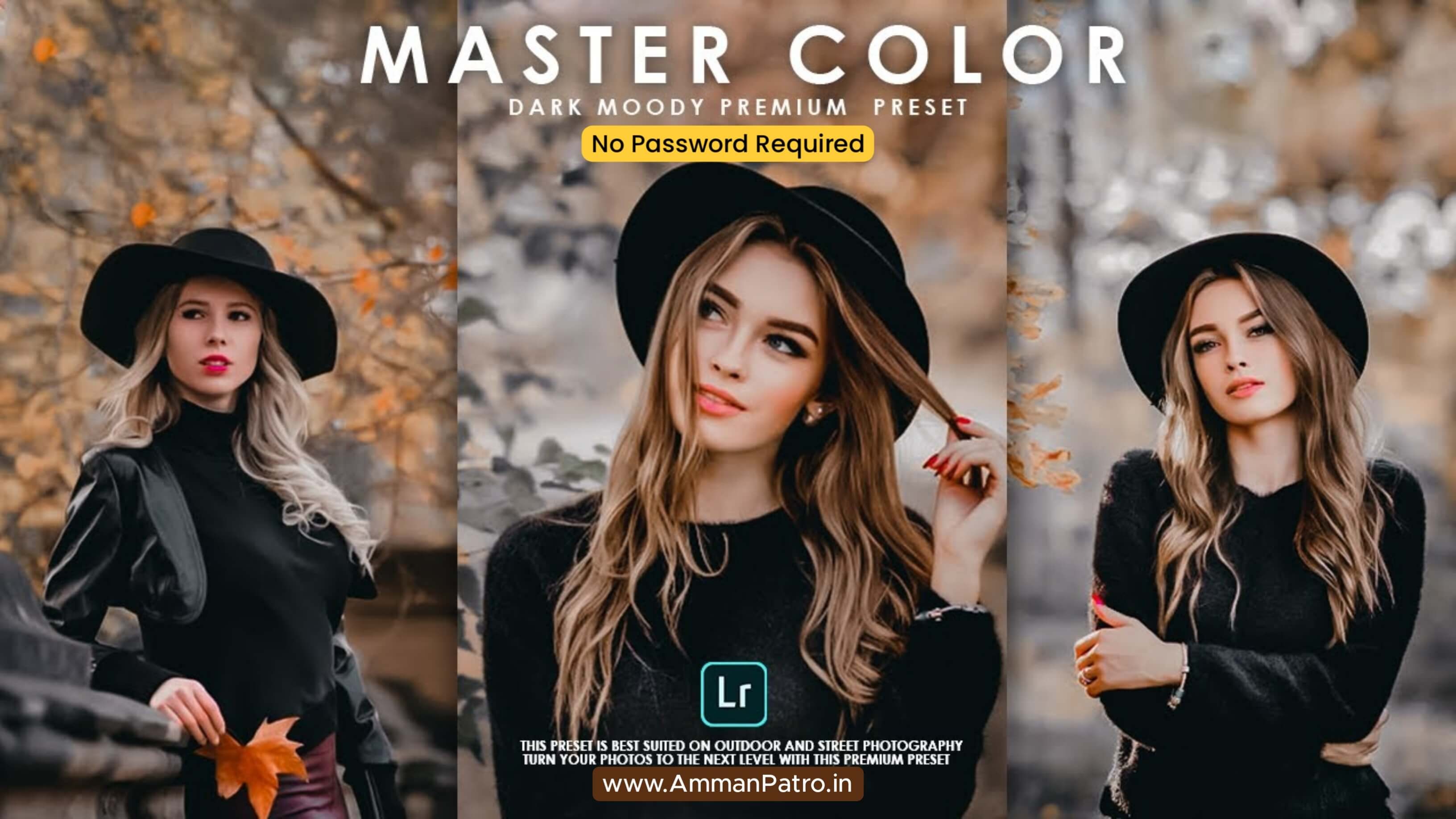 No Password - Master Colour Lightroom Presets FREE Download - Master Colour Free Lightroom Presets