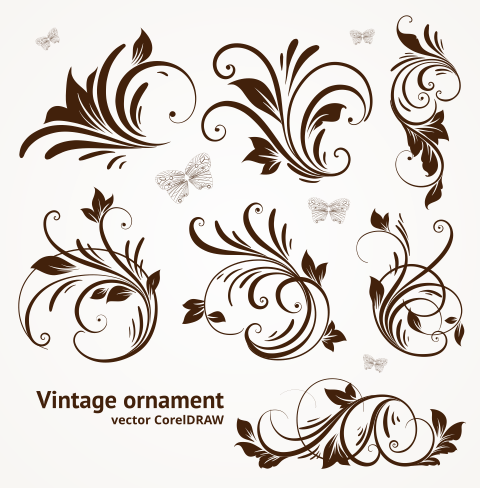 Free Download Vector  Vintage Ornament Format CorelDRAW  