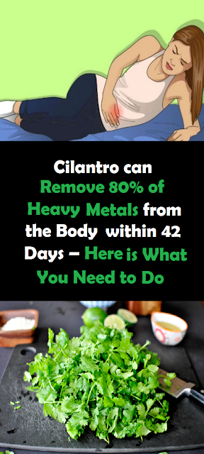 Remove 80% of TOXIC Metals from the Body. Here is What You Need to Do