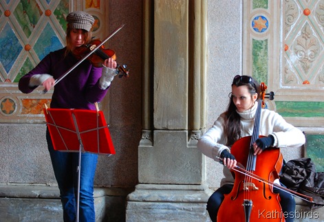 14. chamber music-kbird