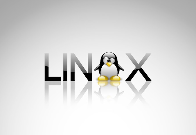 Apa Itu Sistem Operasi Linux (Pengertian)