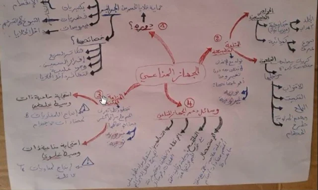 الثالثة إعدادي علوم الحياة و الأرض:أحسن تلخيص لدرس المناعة