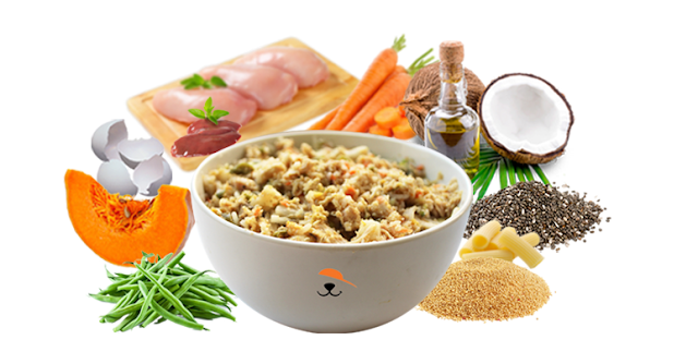 fresh food suppliers for dogs in Delhi,
