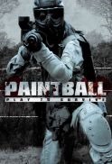 paint paint