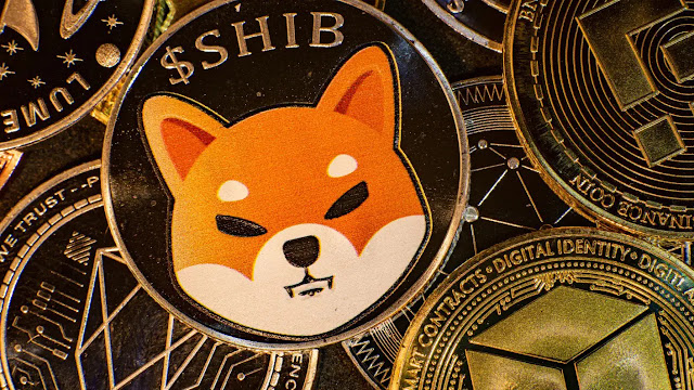 Tầm Nhìn Tăng Giá của Shiba Inu (SHIB): Dự Báo và Triển Vọng Sau Sự Kiện Halving của Bitcoin (BTC)