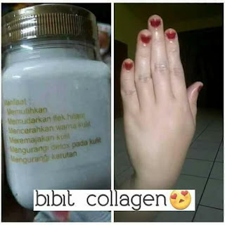 bibit-collagen-asli-dan-palsu2