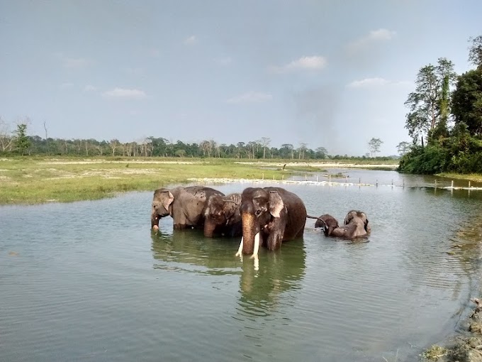 JALDAPARA NATIONAL PARK 