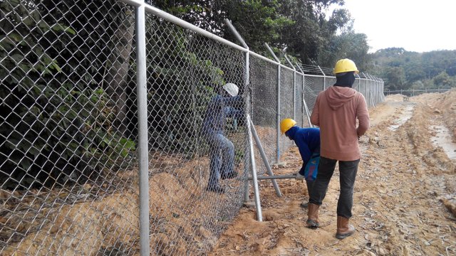 Pemasangan Kawat Harmonika Di Lahan Perkebunan