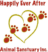 Happily Ever After Animal Shelter