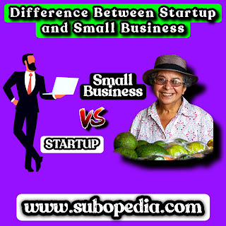 difference between a startup business and a small business