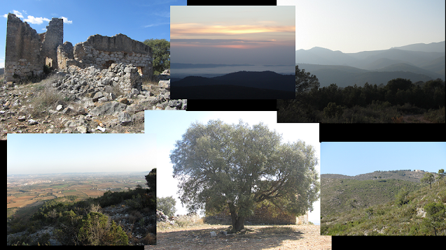 MAS BARTOMEU - PUIG DEL PI SOL - TORREGASSA