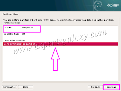 Debian Swap Partition Settings