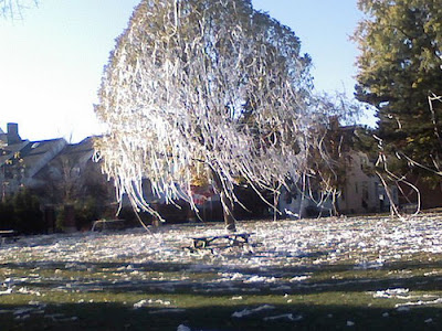 Toilet Paper Pranks