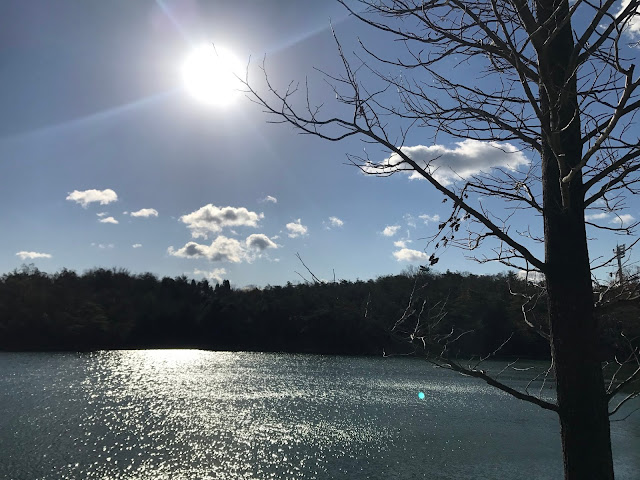 イメージ画像：日の差す公園