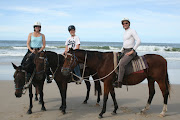 A trail ride on the beach and thru the bush . (horse riding on the beach)