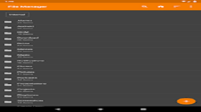File Manager Pro APK