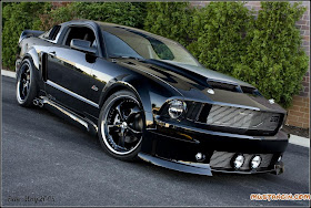 Black Mustang