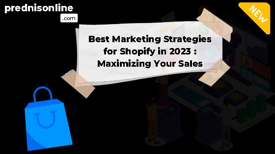 Best Marketing Strategies for Shopify in 2023 : Maximizing Your Sales