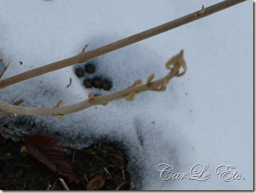 last snow,resale booth 002