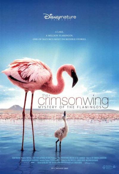 The Crimson Wing Mystery Of The Flamingos (2008) [1080p] [BluRay] [5.1] [YTS.MX]