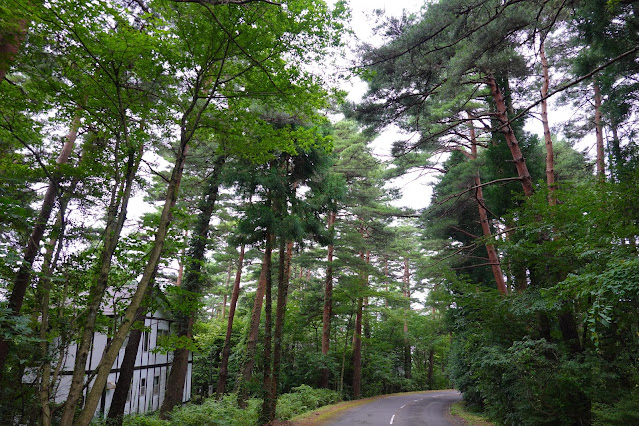 鳥取県西伯郡伯耆町丸山　赤松の森道