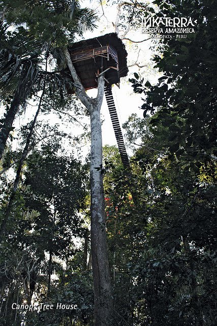 Rumah-rumah Pohon Ter-extreme Di Dunia [ www.BlogApaAja.com ]