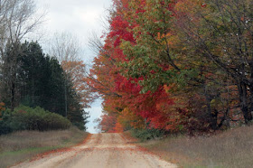 Dewey Road fall color