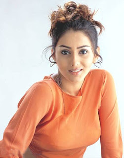 Namitha Hairstyle Picture Gallery - Indian Celebrity Hairstyle Ideas