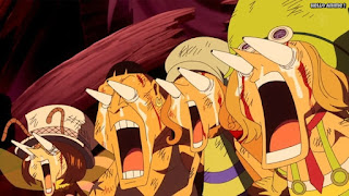 ワンピースアニメ ドレスローザ編 676話 小人族 Dwarves トンタッタ Tontatta | ONE PIECE Episode 676