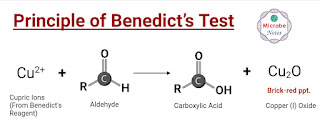 Prinsip pemeriksaan glukosa urin metode benedict. (Foto : https://microbenotes.com/)
