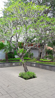 Bali Collection - ninnarosmina.com
