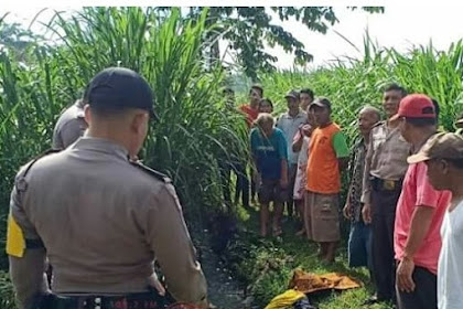 Seorang Warga Di Tulungagung Ditemukan Tewas Di Sawah