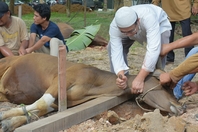 Door to Door, Komite SMPN 6 Sekayu Salurkan Daging Qurban ke Mustahiq