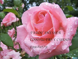 TAROT INESSER http://cursosyconsultasdetarotinesser.blogspot.com  