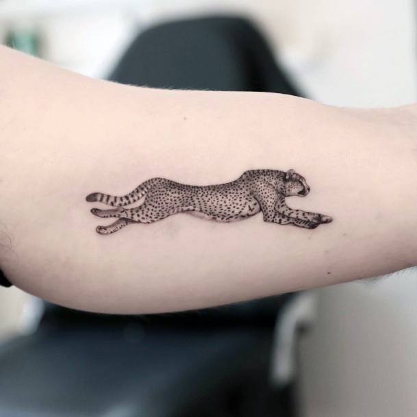 Tatuagens de animais - 140 ideias femininas