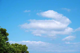 clouds, sky, trees, Okinawa, Japan