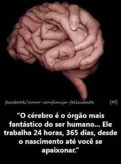 Banner retangular / facebook / amor-confiança-felicidade. Em um fundo preto, várias mãos fechadas e abertas sobrepostas encaixam-se e formam uma imagem que remete ao hemisfério cerebral esquerdo de perfil. Os dedos emaranhados assemelham-se aos sulcos do cérebro; ao lado direito, mão esquerda com dedos voltados para frente envolve outra mão e simula o lobo occipital; logo abaixo, mão fechada com o polegar para baixo em sinal positivo, equivale a porção do cerebelo, responsável pelo equilíbrio; o polegar imita a Ponte e o Bulbo, responsáveis pela respiração e batimentos cardíacos. Logo abaixo, lê-se: “O cérebro é o órgão mais fantástico do ser humano...Ele trabalha 24 horas, 365 dias, desde o nascimento até você se apaixonar.”