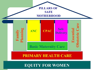 manfaat kegiatan safe motherhood