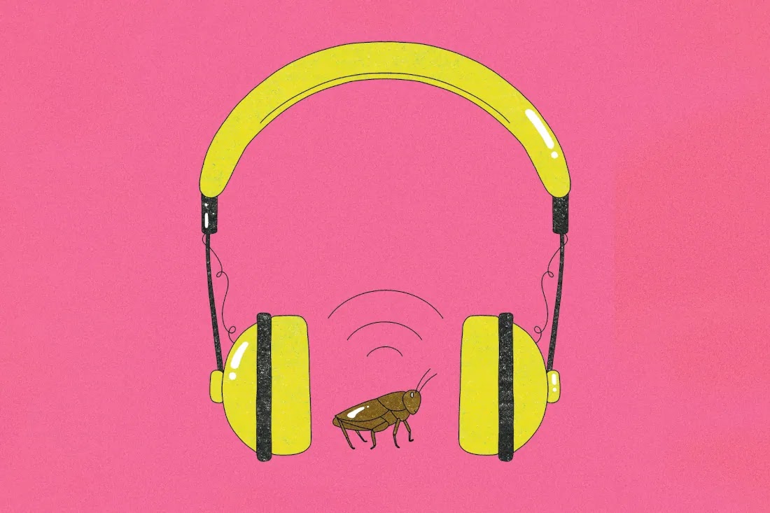 Illustration of bug between much larger headphones