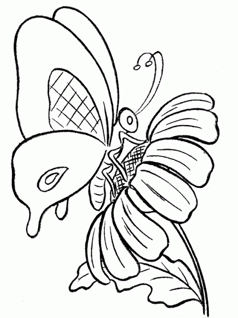 Free butterfly coloring pictures