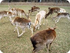 DSCN0759