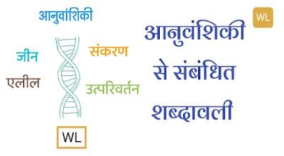 आनुवंशिकी से संबंधित शब्दावली (General terminology related to genetics)