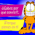 Garfield  frase de Pienso en ti