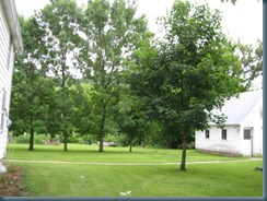 winona-07