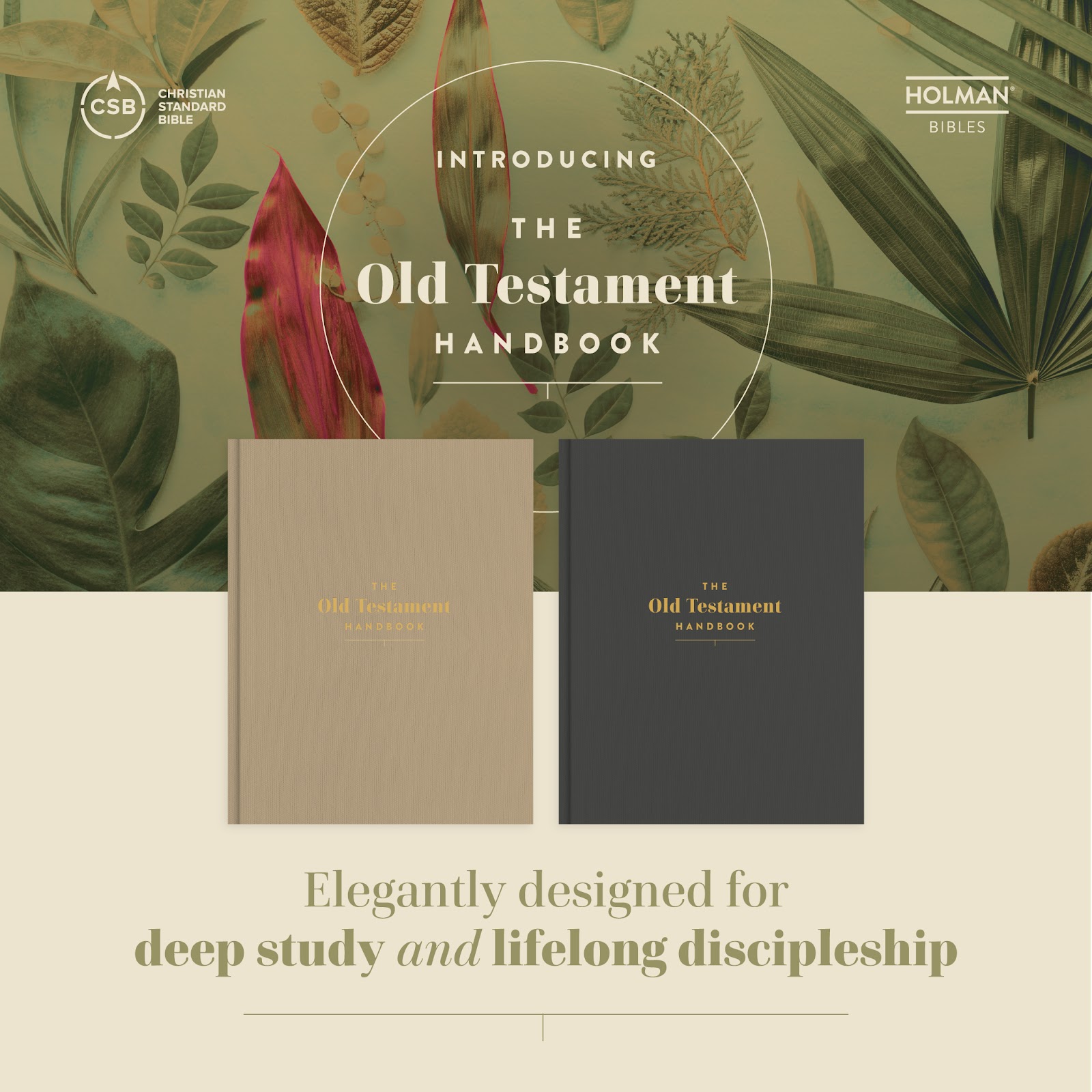 Simple Tips to Achieve Your Bible Reading Goals w/ The Old Testament Handbook {+ Amazon Giveaway} #OldTestamentHandbookMIN #theoldtestamenthandbook #christianstandardbible #CSB #holmanhandbookseries #holmanhandbook #holmanbibles #othandbook @christianstandardbible @bhpub
