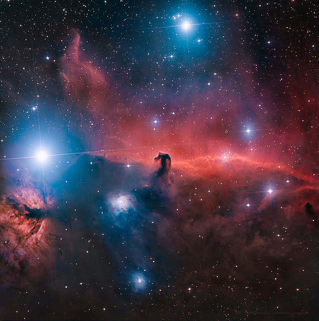IC 434 - The Horsehead Nebula in Orion processed with free image data available for download on Insight Observatory's image set repository, Starbase. Imaged on ATEO-1 and processed by Daniel Nobre.